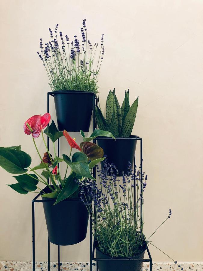 بروج Suites Le Porte-Bonheur المظهر الخارجي الصورة
